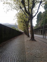 /album/galeria/a20131102-114411-1-jpg/